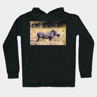 Warthog Profile Hoodie